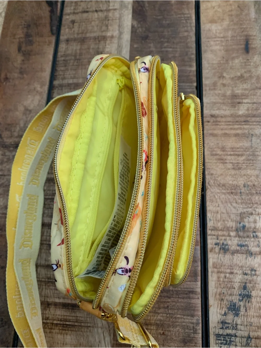 Disney Play in the Park Convertible Crossbody / Belt Bag